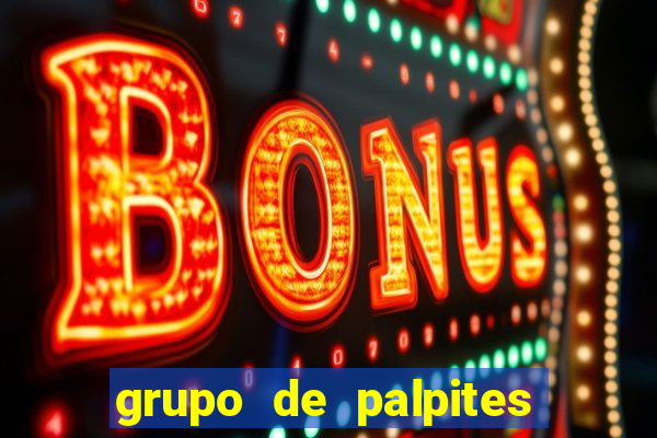 grupo de palpites de futebol whatsapp